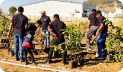 Team planting trees together during CSR environmental initiative 